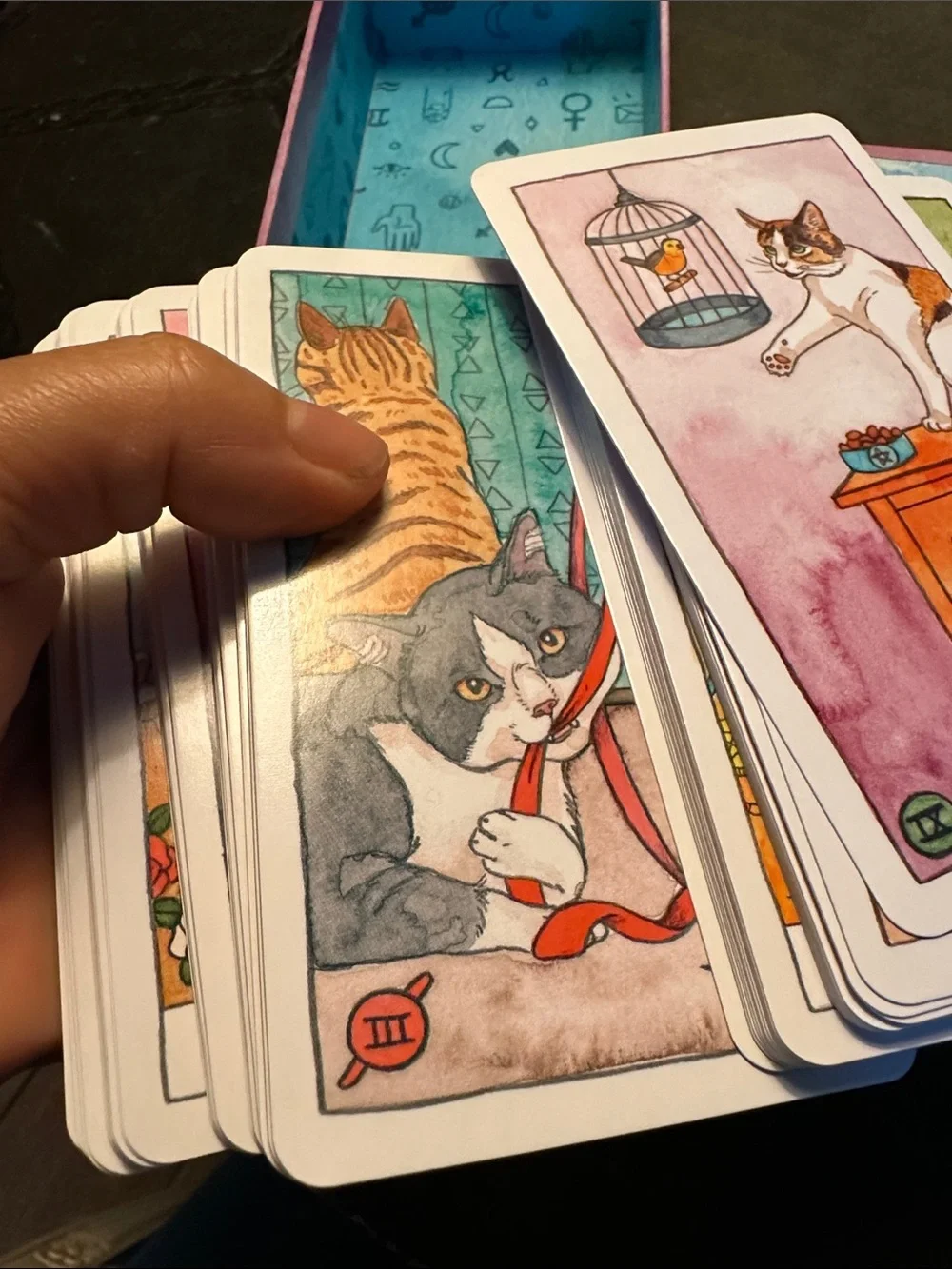 Cat Tarot Deck - Purple Edition